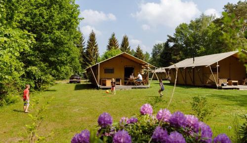 Woldlodge