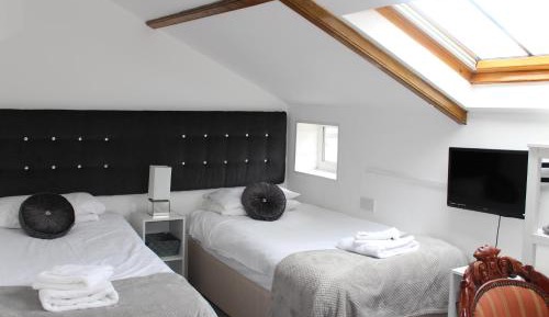 Deluxe Twin Room with River View & Skylight