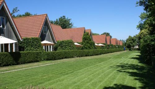 Bungalow (4 Adults)