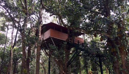 Tree Top Villa