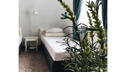 Budget Twin Room
