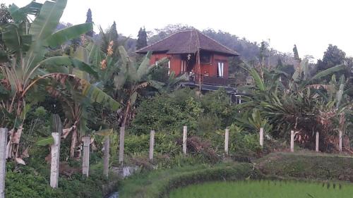 Deluxe Bungalow with Garden View
