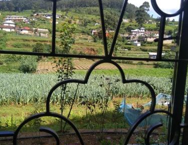 Double Room with Mountain View