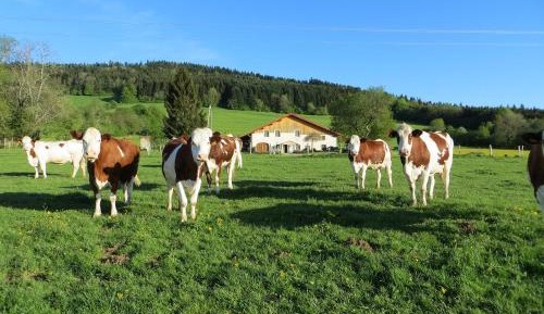 Double Room - Disability Access