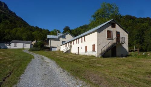 Single Bed in Dormitory Room