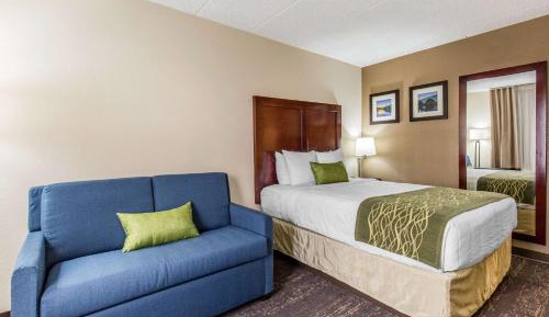 King Room - Non-Smoking