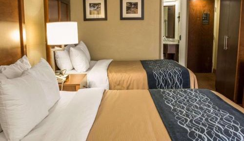 Double Room with Two Double Beds - Smoking