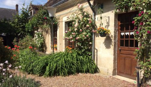King Room with Garden View