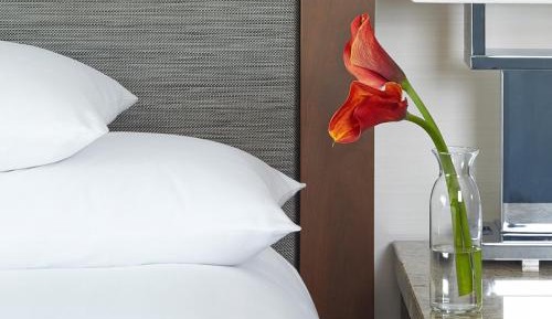 King Room with Accessible Shower - Disability Access