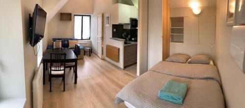 Studio with Garden View