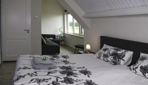 King Room with Garden View