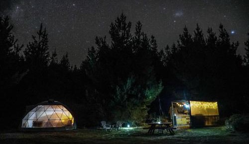 Wilding Pines Site