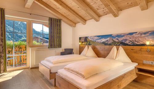 Deluxe Double or Twin Room