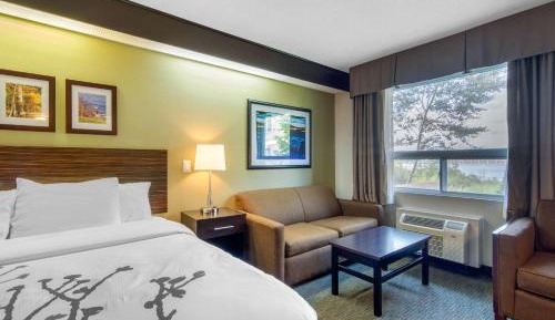 Superior King Room with Sofabed - Non Smoking