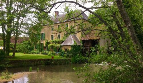 Double Room with Garden View