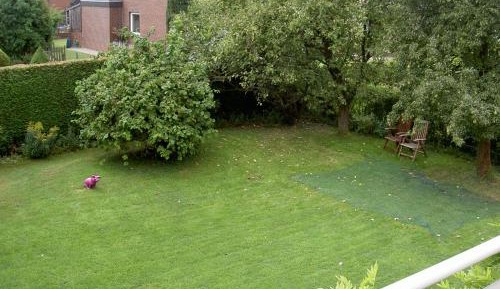 Double Room with Shared Bathroom