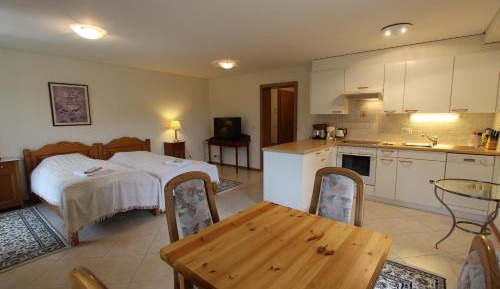 Studio Apartment