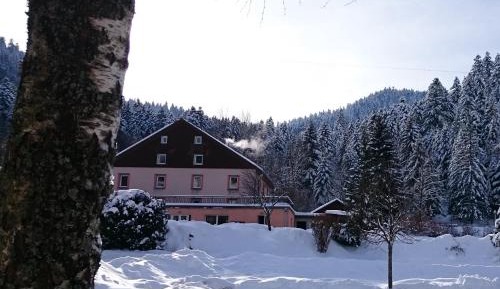 Single Room - Disability Access