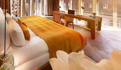 Suite with View