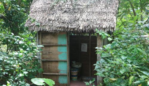 Budget Single Room