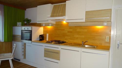 Apartment with Mountain View