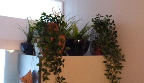 Double Room (1 Adult + 1 Child)