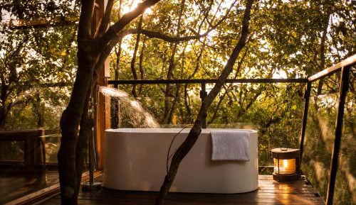 Deluxe King Suite - Jungle Machan