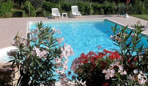 Queen Room with Pool View