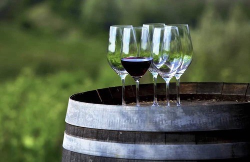 Lake Breeze Park House | Stop the Scroll....you've found it! 🍇🍇🍇🍷🍷🍷