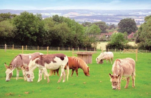 Woodbury House | 3 bedroom accommodation in Woodbury, Exeter