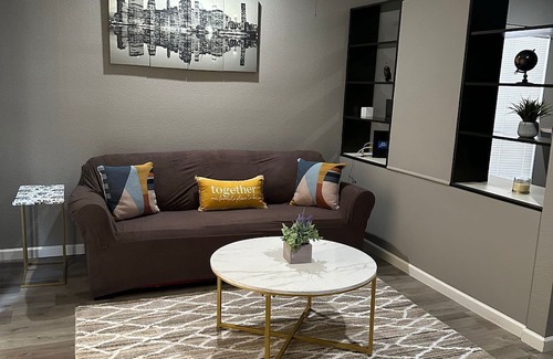 Astrodome Apartment | Lovely Texas Med Center apartment for 4 people to sleep