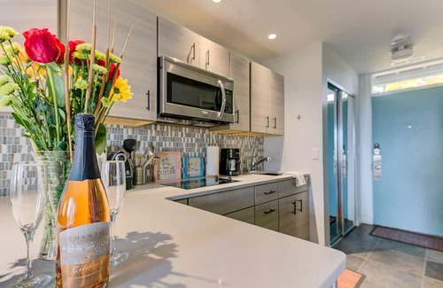 Acme Condo | ☀ Cozy Aviation ✈ Style Lake View Condo @ The Shores