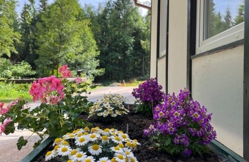 Altenberg House | Vacation home for 8 guests with 110m² in Altenberg (270757)