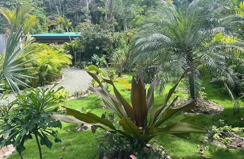 Punta Uva Apartment | Charming 1-bedroom apartment with WiFi, AC in pleasant Punta Uva