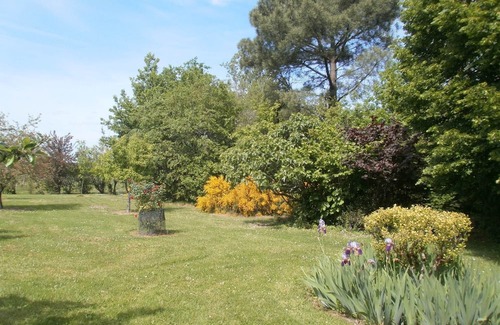 Saint-Pierre-de-Buzet Apartment | Gîte "Les Glycines" 3 bedrooms