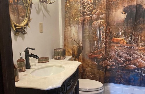 Somerset Cabin | Fishing Lover's Tranquil Cabin with WiFi On Kebler Pass Meal Plan Available