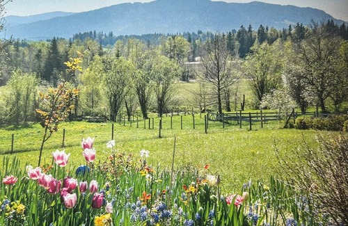 Bad Toelz Other | Old farmhouse with mountain views Wellness area with sauna and pool