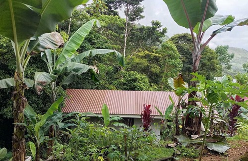 Pejibaye House | Tiny House Dans les Montagnes à Deux pas de la Rivière