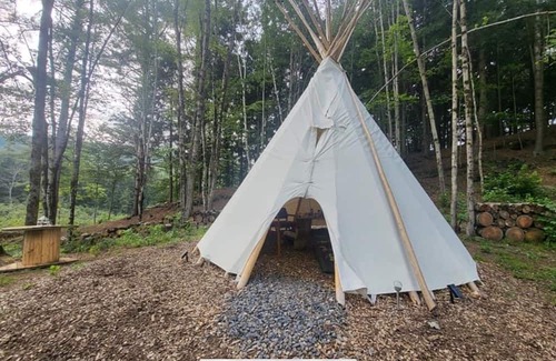 Williamstown Cabin | Lodges @ Tamias Post