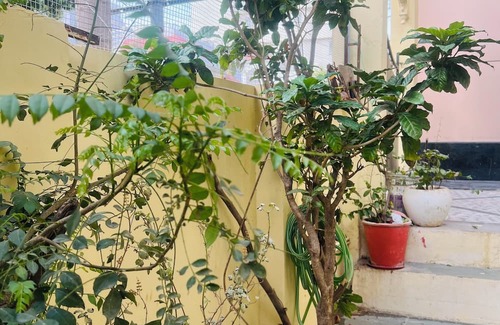 Udaipur Villa | Charming 2-bedroom villa in pleasant Udaipur with Private pool AC, WIFI