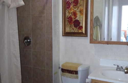 Oneonta House | A French Flair: 3bedroom/2bath Ranch home w/WiFi & AC-Sleeps 10