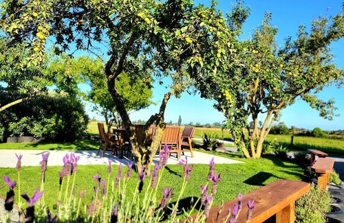 Kaikoura Cabin | Christmas 2024: 11 people, Hot Tubs, Spectacular Views, Plenty of Space to Play