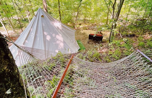 Shinglehouse RV Rental | Glamping Tent in Port Allegany
