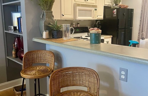 Athens House | Charming 2-bedroom townhome with WiFi, AC in lovely Athens!