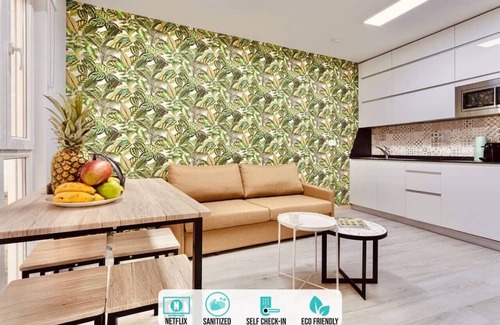 La Coruna Apartment | Downtown Plaza Apartment