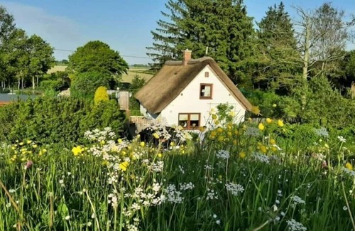 Groven House | The little thatched cottage
