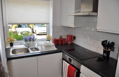 Island Gardens Apartment | Modern Ground Floor flat in Canary Wharf, London + FREE Parking