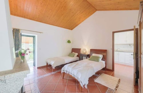 Mangualde Apartment | Authentic apartment in rural area