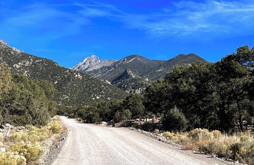 Baca Grande House | Stylish Mountain Retreat ~ lower suite
