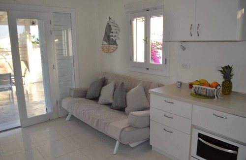Messaria Villa | JB Villa w/plunge pool, very private, w/colorful garden, conveniently located